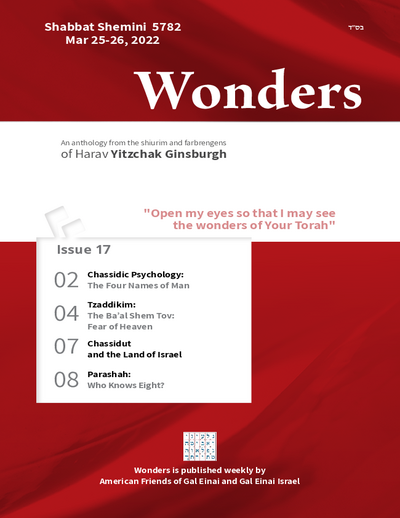Wonders — Parshas Shemini