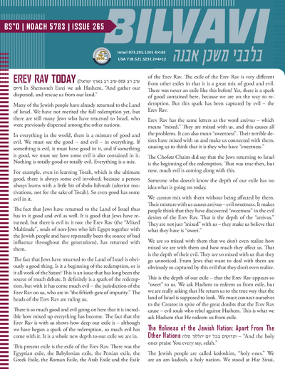 Bilvavi — Parshas Noach