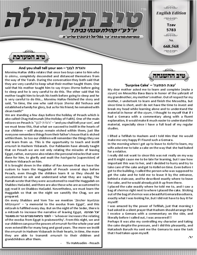 טיב הקהילה English — Parshas Tsav