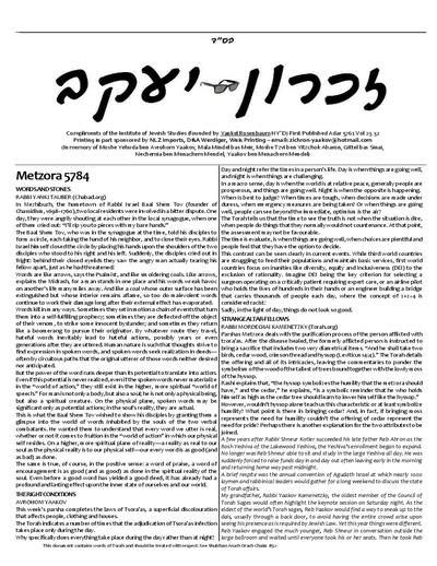 PDF Preview