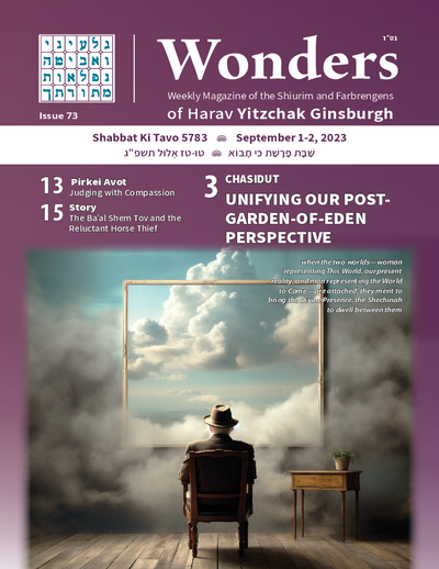 Wonders — Parshas Ki Savo