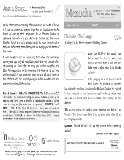 PDF Preview