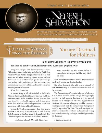 Nefesh Shimshon — Parshas Kedoshim