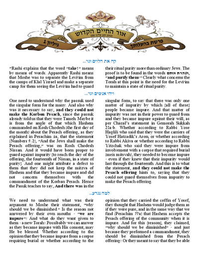 Ohr Hachaim Hakadosh — Parshas Behaalotcha