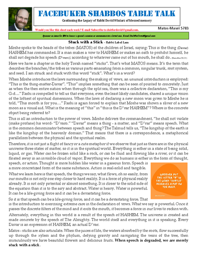 Facebuker Shabbos Table Talk — Parshas Matos-Massei