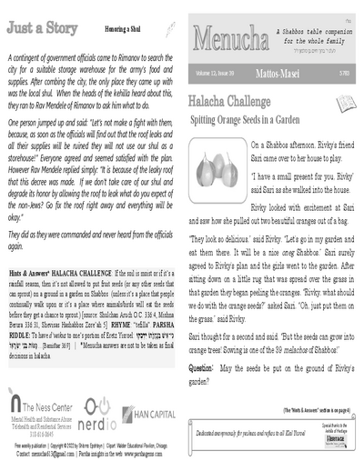 Menucha Magazine — Parshas Matos-Massei