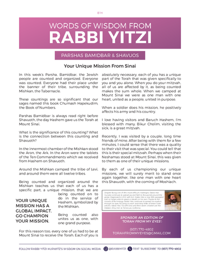 Words of Wisdom from Rabbi Yitzi — Parshas Bamidbar