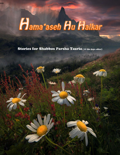 Hama'aseh Hu Haikar — Parshas Tazria-Metzora