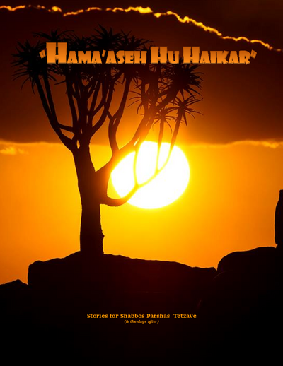 Hama'aseh Hu Haikar — Parshas Ki Sisa