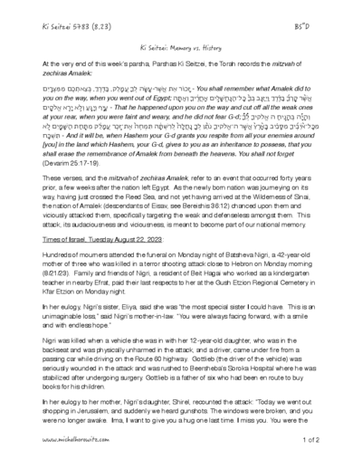 Michal Horowitz - Shiurim & Classes — Parshas Ki Teitzei