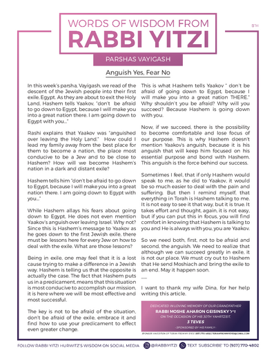 Words of Wisdom from Rabbi Yitzi — Parshas Vayigash