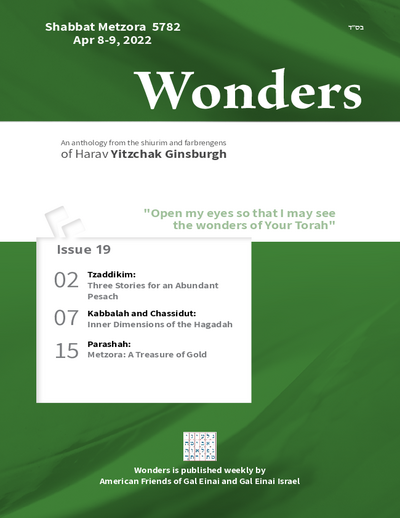 Wonders — Parshas Metzora