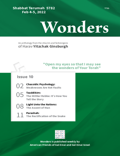 Wonders — Parshas Terumah