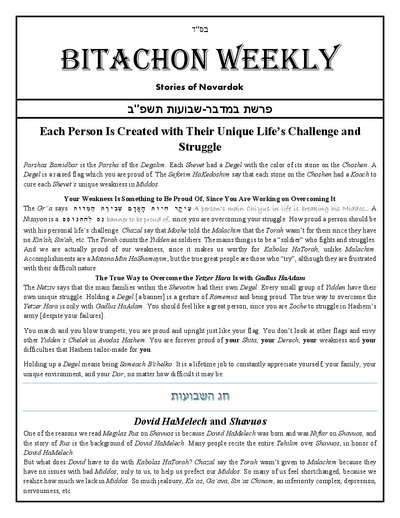 Bitachon Weekly — Parshas Bamidbar