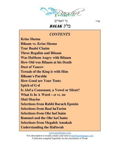 Parsha Pages — Parshas Chukas-Balak