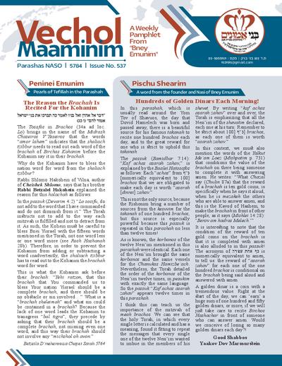 Vechol Maaminim — Parshas Naso