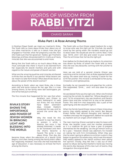 Words of Wisdom from Rabbi Yitzi — Parshas Chayei Sarah