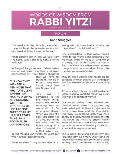 Words of Wisdom from Rabbi Yitzi — Parshas Noach
