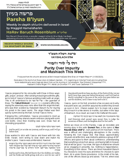Torah Papers — Parshas Vayishlach