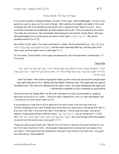 Michal Horowitz - Shiurim & Classes — Parshas Shlach