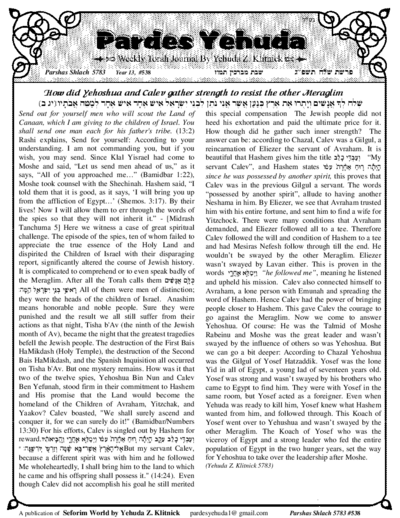 Pardes Yehuda — Parshas Shlach