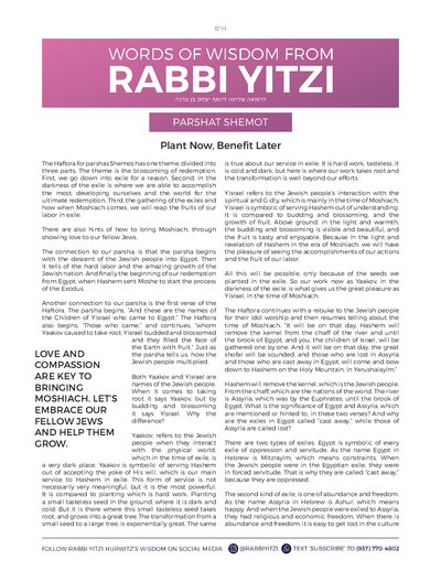 Words of Wisdom from Rabbi Yitzi — Parshas Shemos