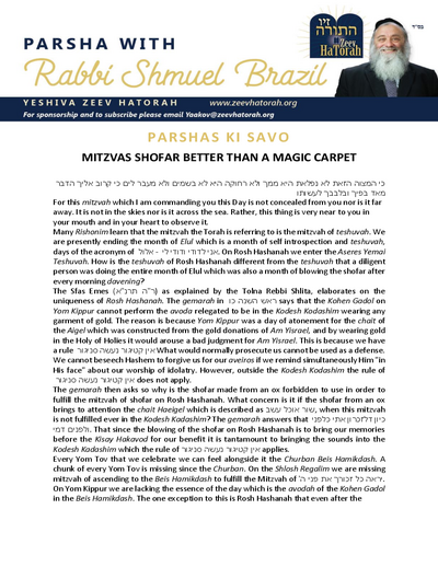 Parsha with Rabbi Shmuel Brazil — Parshas Nitzavim