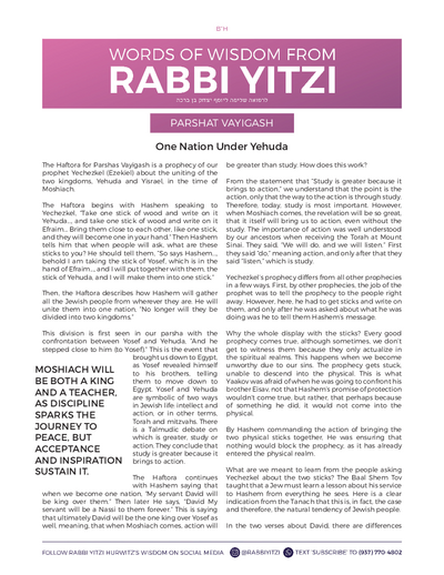 Words of Wisdom from Rabbi Yitzi — Parshas Vayigash