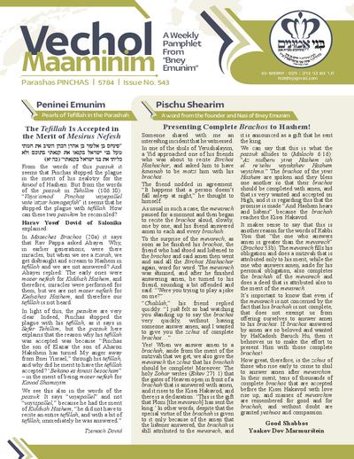 Vechol Maaminim — Parshas Pinchas