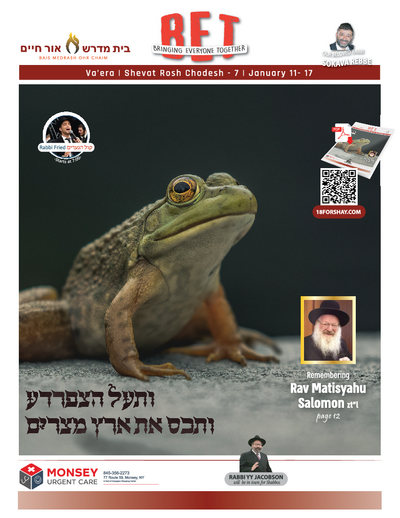 PDF Preview