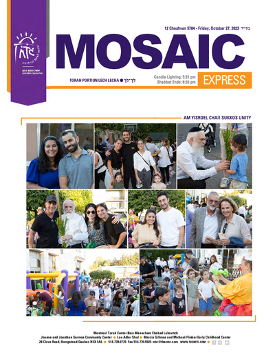 PDF Preview