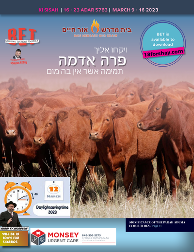 BET Journal — Parshas Ki Sisa