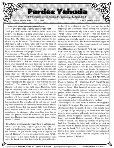 Pardes Yehuda — Parshas Shoftim