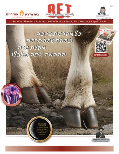BET Journal — Parshas Shemini