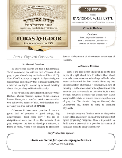 PDF Preview