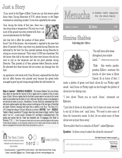 Menucha Magazine — Parshas Ki Savo