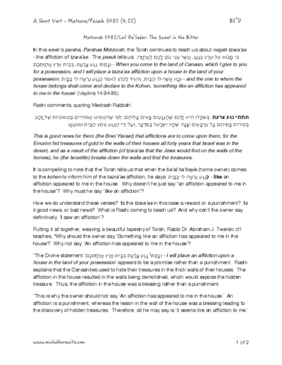 Michal Horowitz - Shiurim & Classes — Parshas Metzora