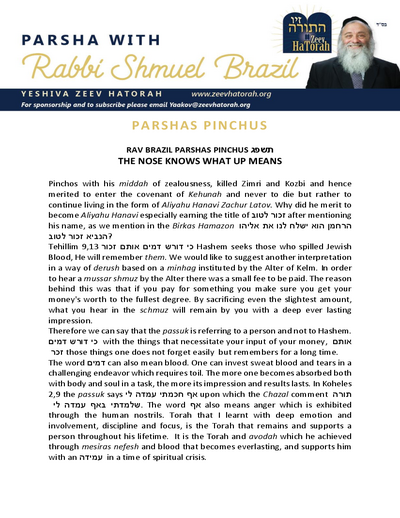 Parsha with Rabbi Shmuel Brazil — Parshas Pinchas