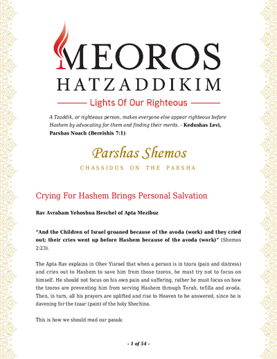 Me'oros Hatzaddikim — Parshas Shemos