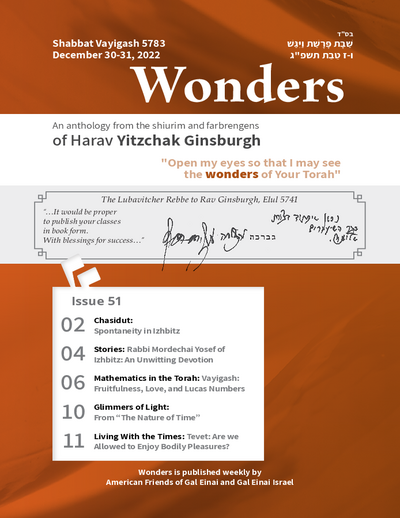 Wonders — Parshas Vayigash