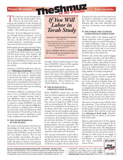 The Shmuz — Parshas Bechukosai