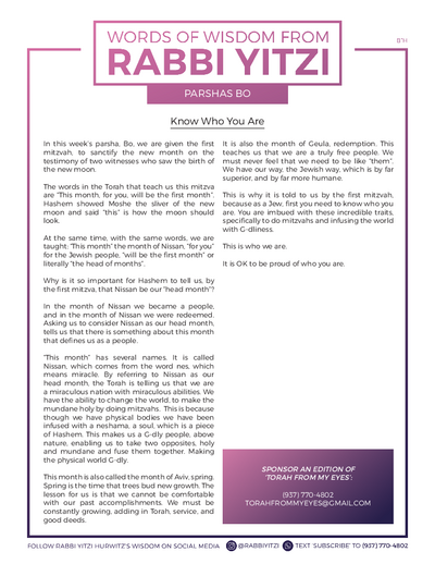 Words of Wisdom from Rabbi Yitzi — Parshas Bo