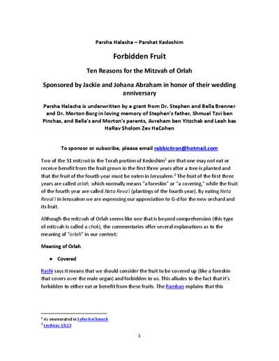 PDF Preview