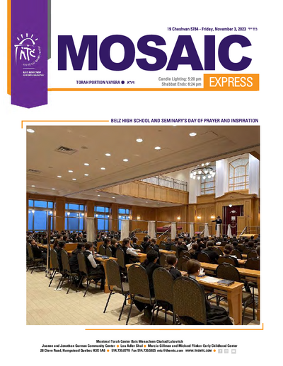PDF Preview