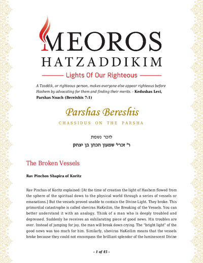 Me'oros Hatzaddikim — Parshas Bereishis