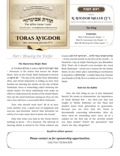 PDF Preview