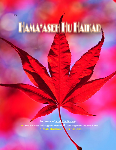 Hama'aseh Hu Haikar — Parshas Vayishlach