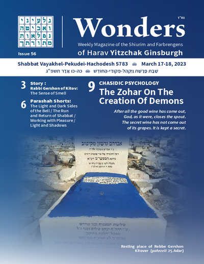 Wonders — Parshas Vayak'hel-Pekudei