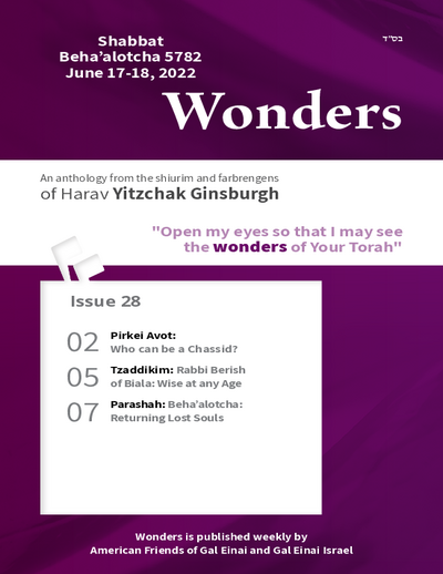 Wonders — Parshas Behaalotcha