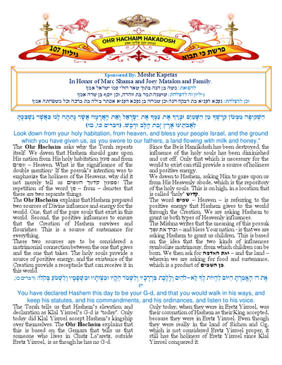 Ohr Hachaim Hakadosh — Parshas Ki Savo